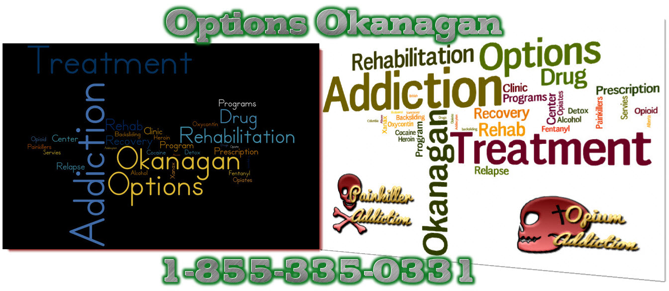 What are some options for drug treatment programs?
